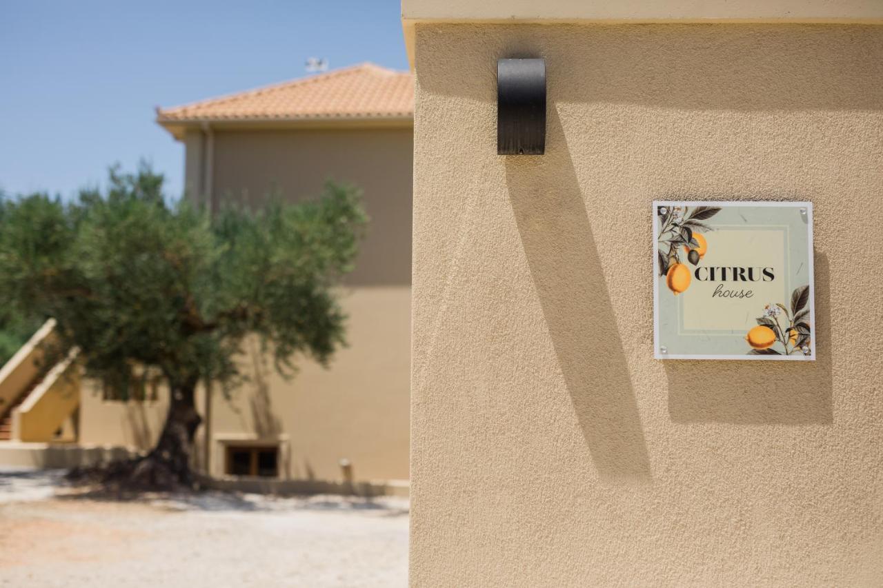 Citrus House Apartment Razáta Екстериор снимка